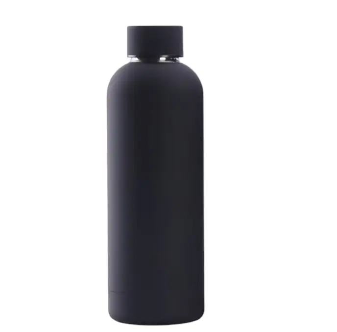 Double-Wall Water Bottle